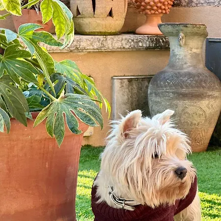 Welcome Traveller Frida's Maison d'hôtes Caprino Veronese