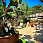 Welcome Traveller Frida's Affittacamere 4*
